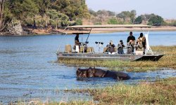 Expeditions_pangolin_photoboat_032.jpg