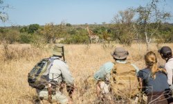 Tanda Tula - Timbavati - Kruger National Park