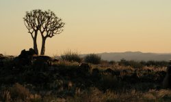 Gondwana - Canon Lodge Photo Shoot