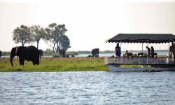 Chobe_under_canvas_Boating1.jpg