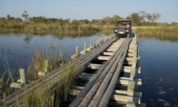 Expeditions_Okavango_292.jpg