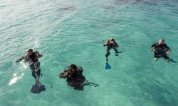 Vamizi-Island-Activities-Scuba-Diving1.jpg