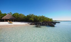 Vamizi-Island-Suluwilo-Beach.jpg