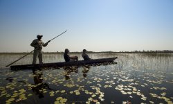 Expeditions_Okavango_013.jpg