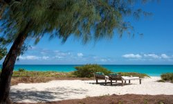 Vamizi-Island-Beach-Loungers.jpg