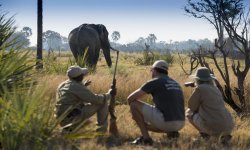 Expeditions_Okavango_091.jpg