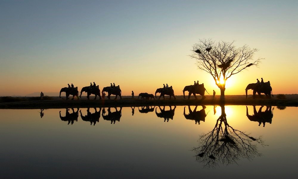 safari camp jabulani africa